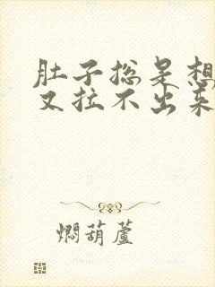 肚子总是想拉屎又拉不出来怎么办