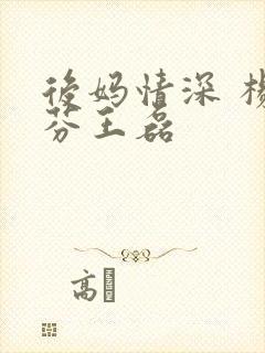 后妈情深 杨晓芬王磊