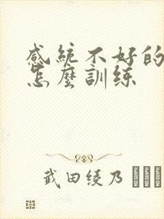 感统不好的孩子怎么训练