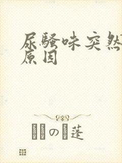 尿骚味突然变重原因