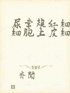 尿常规红细胞白细胞上皮细胞都高