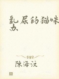 乱尿的猫咪怎么办