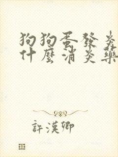 狗狗蛋发炎了吃什么消炎药