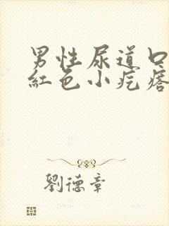 男性尿道口有个红色小疙瘩