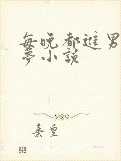 每晚都进男神春梦小说