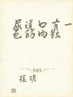 尿道口有一粒白色的肉粒