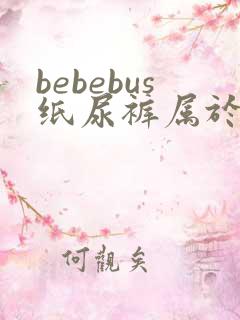 bebebus纸尿裤属于什么档次