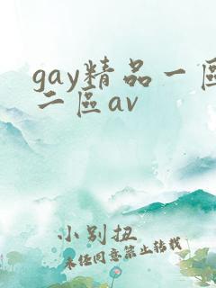 gay精品一区二区av