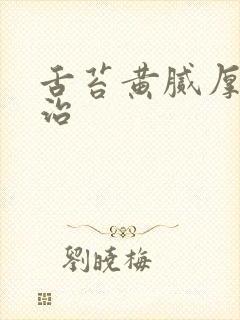 舌苔黄腻厚怎么治