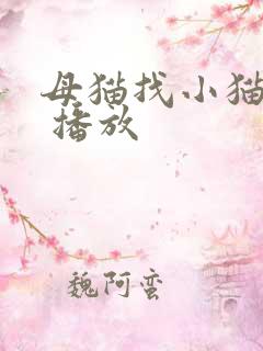 母猫找小猫叫声 播放