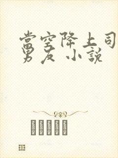 当空降上司是前男友 小说