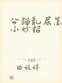 公猫乱尿怎么办小妙招