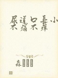 尿道口长小肉粒不痛不痒