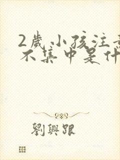 2岁小孩注意力不集中是什么原因