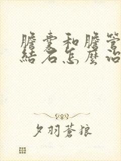 胆囊和胆管都有结石怎么治疗