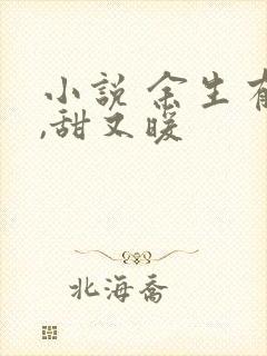 小说 余生有你,甜又暖