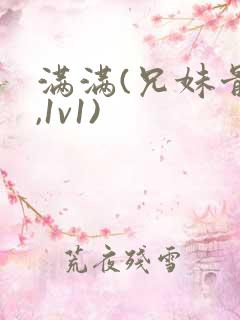 满满(兄妹骨科,1v1)