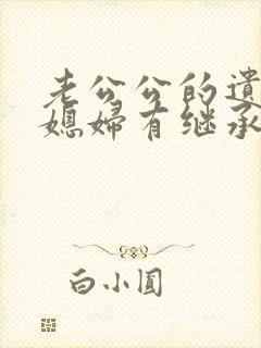 老公公的遗产儿媳妇有继承权吗?