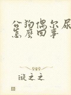 公狗偶尔尿血是怎么回事