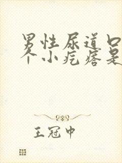 男性尿道口长一个小疙瘩是怎么回事儿