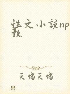 性文小说np调教
