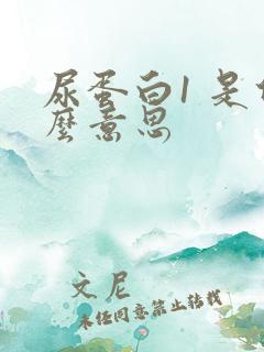 尿蛋白1 是什么意思