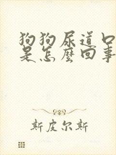 狗狗尿道口发红是怎么回事