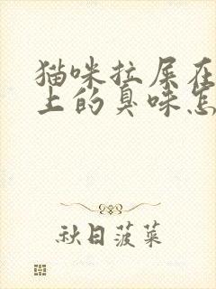 猫咪拉屎在沙发上的臭味怎么消除