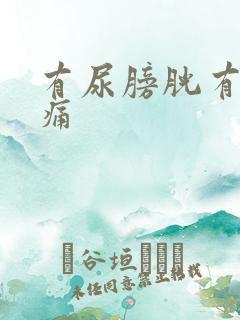 有尿膀胱有点胀痛