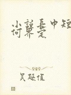 小说长中短篇如何界定