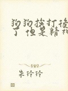 狗狗挨打后尿血了 但是精神很好