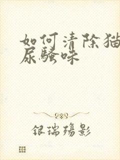 如何清除猫尿的尿骚味