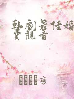 韩剧最佳婚姻免费观看