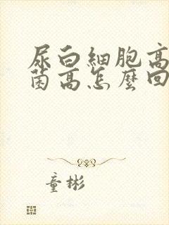 尿白细胞高尿细菌高怎么回事