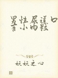 男性尿道口红肿有小肉粒