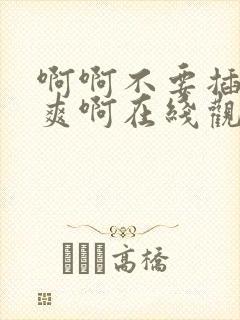 啊啊不要插了好爽啊在线观看视频