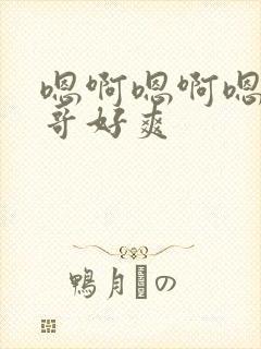 嗯啊嗯啊嗯啊哥哥好爽