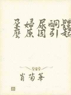 孕妇尿酮体高什么原因引起的