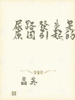 尿路发炎是什么原因引起的