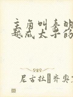 主角叫秦明的穿越成太子的小说