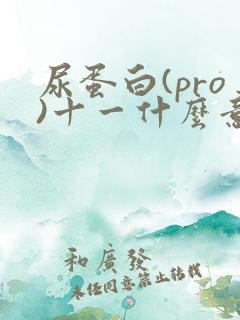 尿蛋白(pro)十一什么意思
