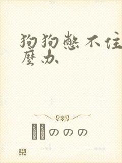 狗狗憋不住尿怎么办