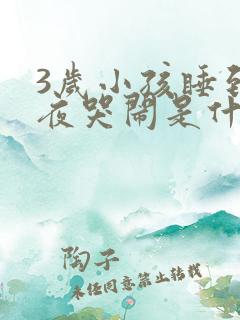 3岁小孩睡到半夜哭闹是什么原因