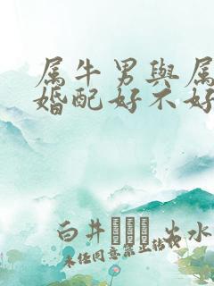 属牛男与属蛇女婚配好不好