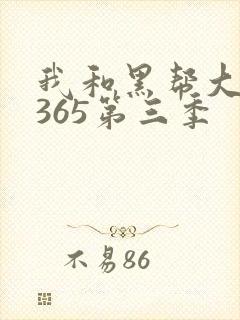 我和黑帮大佬的365第三季