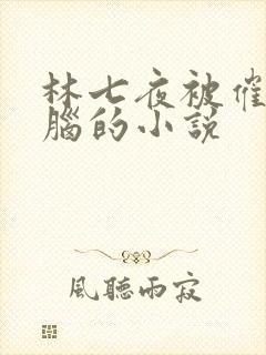 林七夜被催眠洗脑的小说