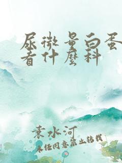 尿微量白蛋白高看什么科