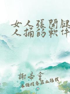 女人张开腿让男人捅的软件