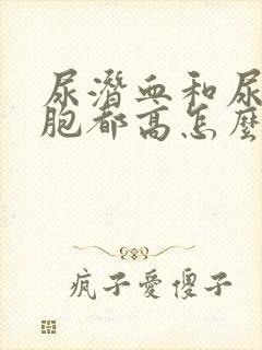 尿潜血和尿红细胞都高怎么回事