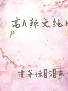 高h辣文纯肉np